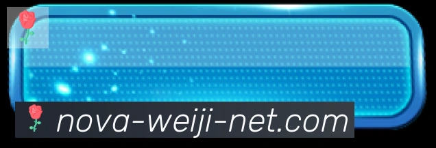 维基体育服务体系