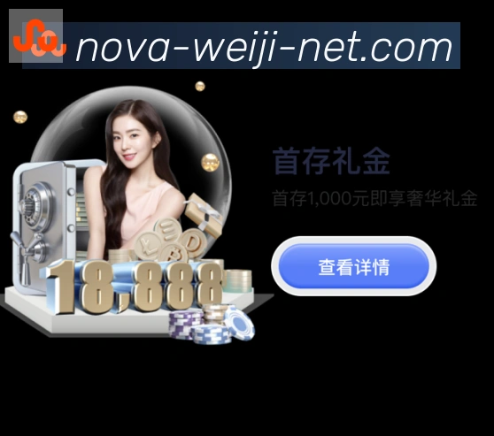 未来规划
