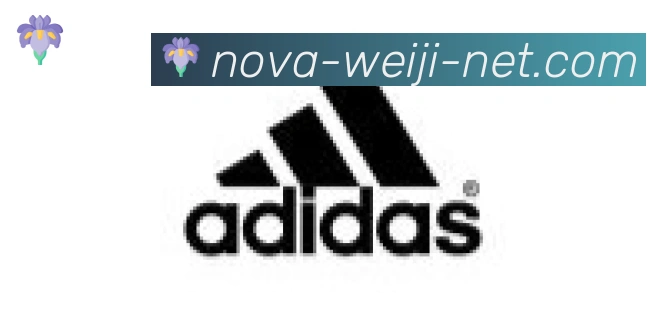 维基体育合作伙伴